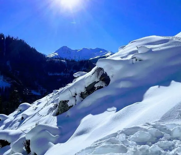 Апартаменты Antonius *