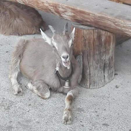 Antonius דירה פונדס